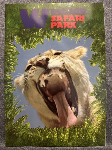 Windsor safari park - park, brochure