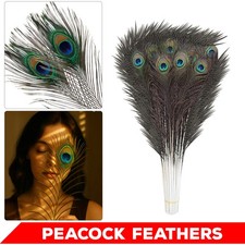 Natural Real Peacock Feather