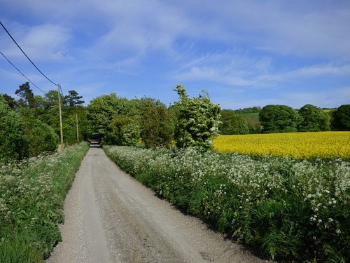Photo 6x4 road and - photo,