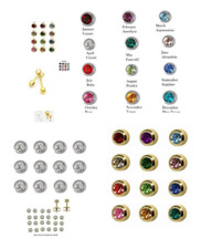 12 Pair Surgical Steel Ear