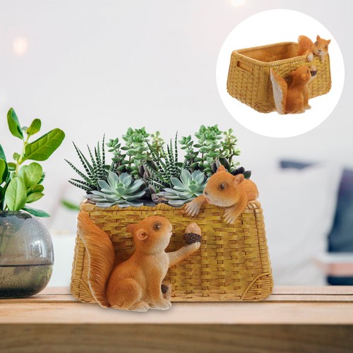 Decorative succulent pot small - decorative,
