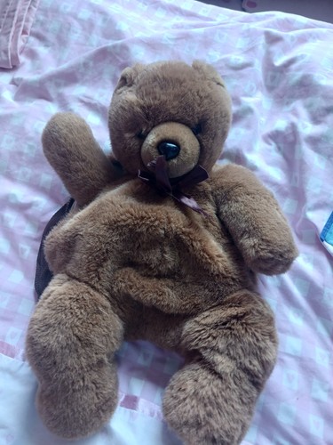 Teddy plush back - plush, pack