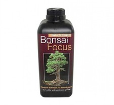 Growth technology bonsai focus - growth,