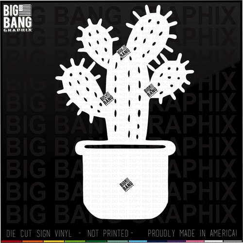 Love cactus plant - my, vinyl
