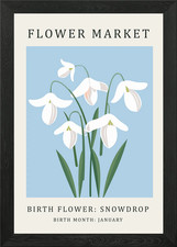 Snowdrop Birth Flower Framed
