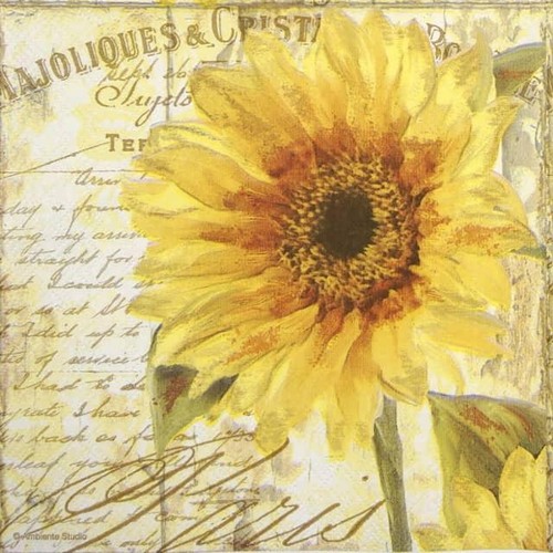 Single paper napkins - 4x, for