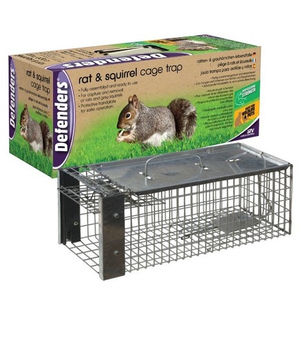 Stv rat squirrel cage trap - squirrel,