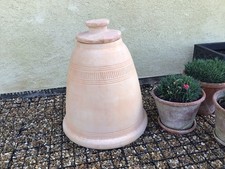 Rhubarb forcer terracota - rhubarb,