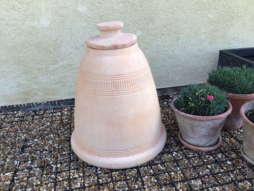 Rhubarb forcer terracota - -,