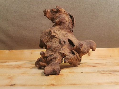498g mopani wood for - wood, loaches