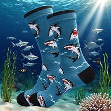 Novelty Turquoise Shark Socks