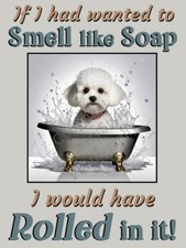 Bichon Frise Funny Flexible