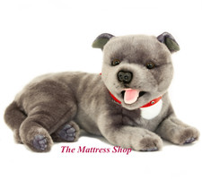 ~❤️BOCCHETTA Staffy FLINT