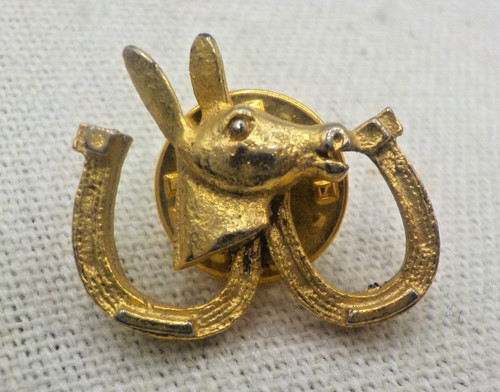 Horse head horseshoe pinback - head, &