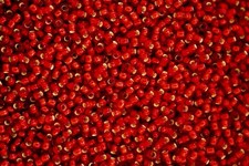 10g Toho Japanese Seed Beads