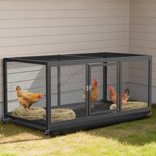 Large metal chicken coop - large,