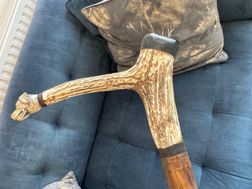 Antler horn walking stick - antler,