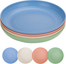 10 Inch Large Camping Plates