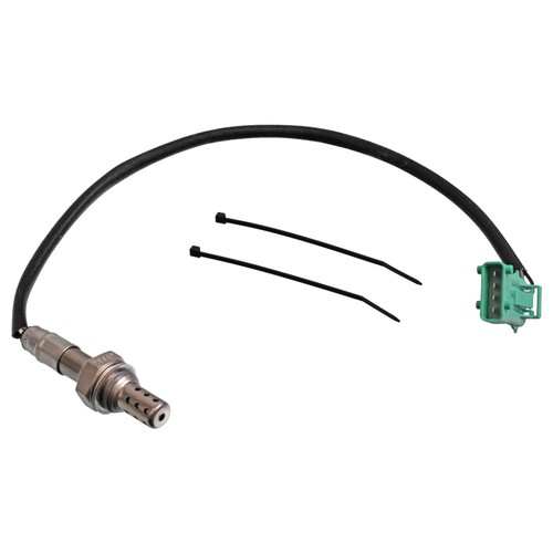 Febi bilstein 178570 oxygen - bilstein,