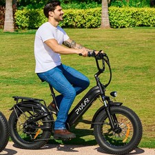 20 Inch Electric Bicycle 250W