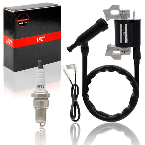 Ignition coil spark - coil, plug