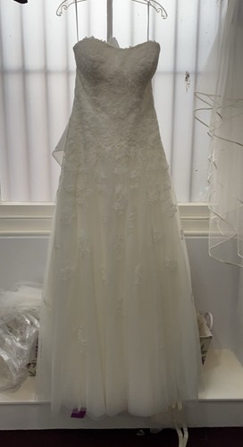 Designer ellis bridal fit - ellis, n