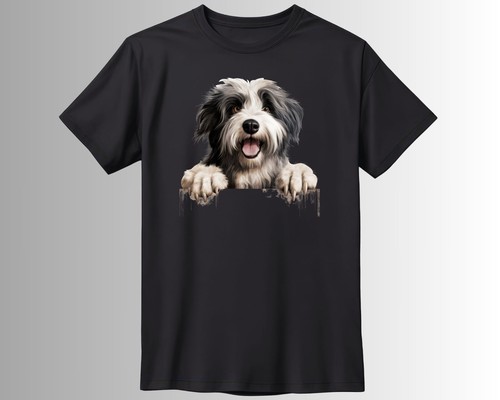 Polish lowland sheepdog - lowland,