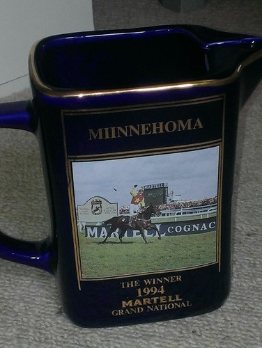 Miinnehoma grand national - grand,