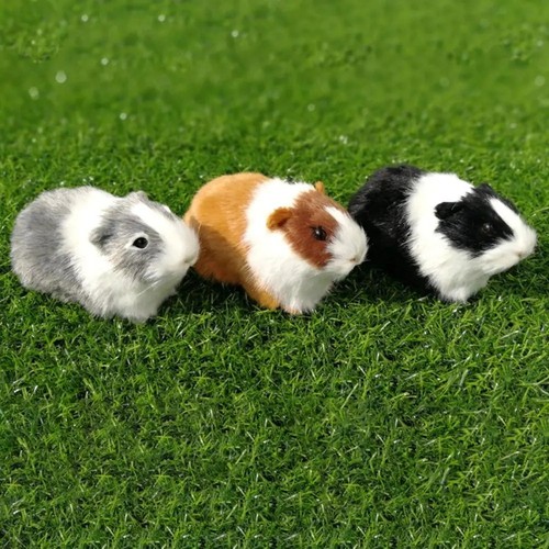 Realistic guinea pig plush toy - pig,