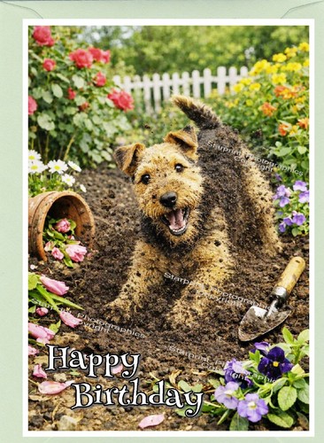 Welsh terrier dog birthday - welsh,