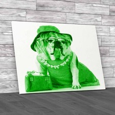 Fashionable Female English Bulldog In Stylish Green Canvas Print Large Picture