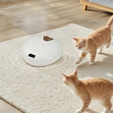 Automatic Pet Feeder – Smart