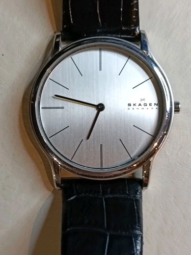 Mens skagen watch - skagen, 858xlslc