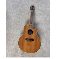 Takamine G Series EG540SSC