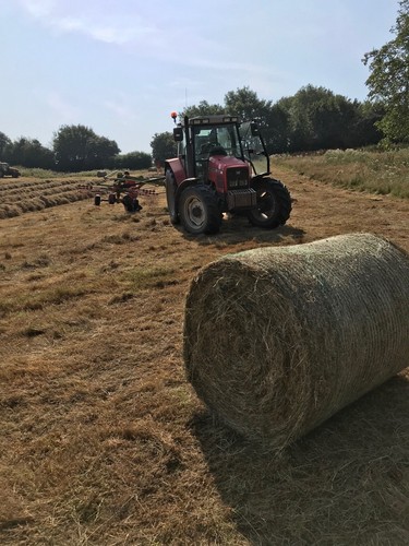 Hay for your - ,