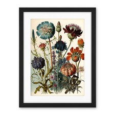 Vintage Botanical Illustration