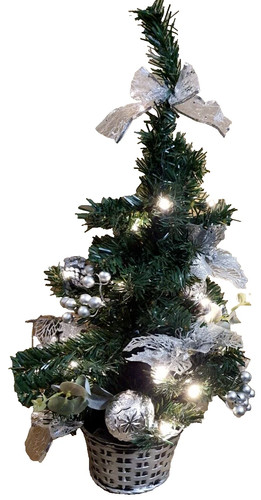 Christmas tree 2ft potted - christmas,