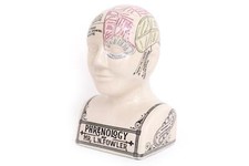 Large Crackle Phrenology Head