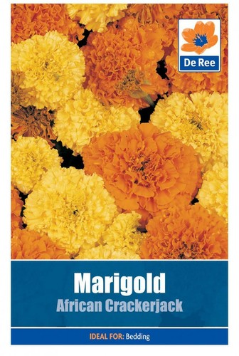 Packet marigold african - of,