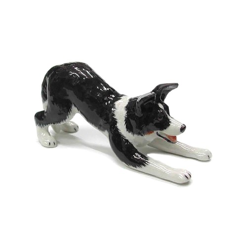 Northern rose dog border - dog,