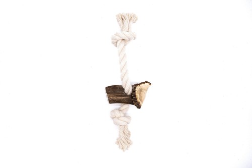 Elk antler rope dog - elk,