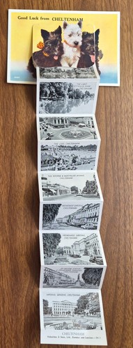 Cheltenham fold out novelty - cheltenham, fold-out