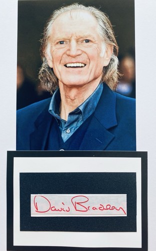 David bradley english - david,