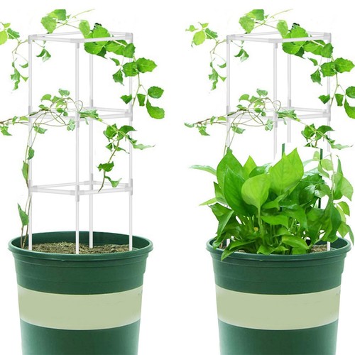 Set garden plants - set,