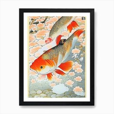 Showa Koi 1, Fish Ukiyo E