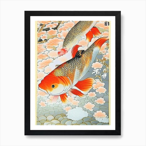 Showa koi fish - fish, ukiyo
