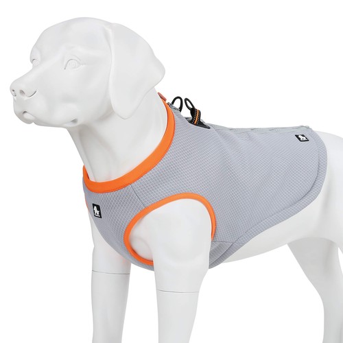 Mokcci truelove dog - dog, cooling