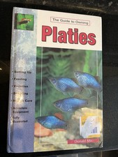 The Guide to Owning Platies by