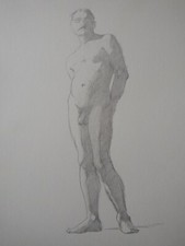 Male nude pencil drawing - male, after