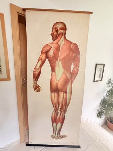 Original vintage medical pull